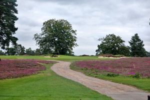 Berkshire (Red) 18th